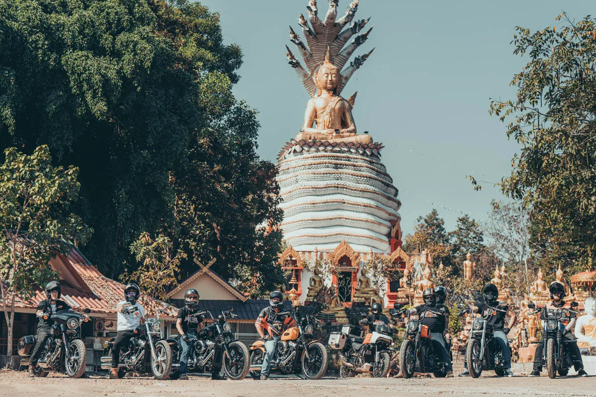 Ultimate EasternCruiser